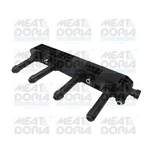 MEAT & DORIA 10630
