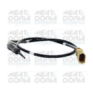 12392 MEAT & DORIA