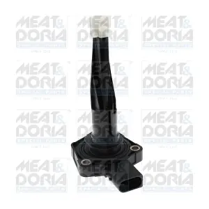 72289 MEAT & DORIA