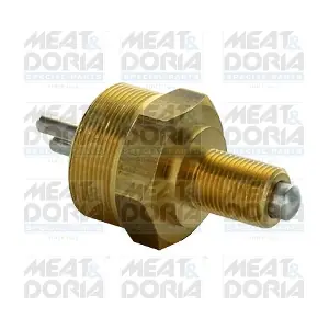 36100 MEAT & DORIA