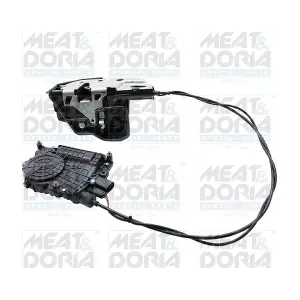 31785 MEAT & DORIA