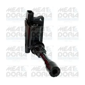 MEAT & DORIA 10666