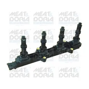 MEAT & DORIA 10531
