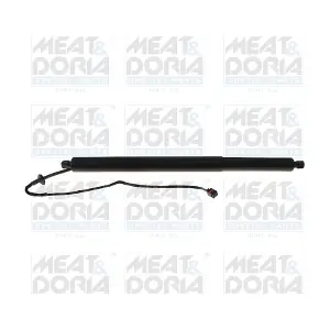 301112 MEAT & DORIA