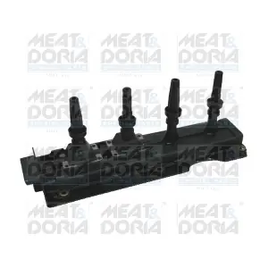 10375 MEAT & DORIA