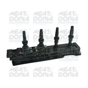 10417 MEAT & DORIA