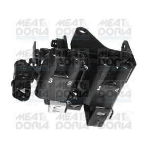 10459 MEAT & DORIA