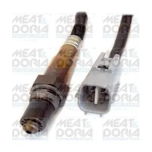 81843 MEAT & DORIA