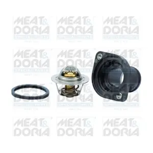 MEAT & DORIA 92082