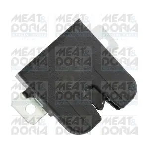 31571 MEAT & DORIA