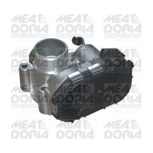 89258 MEAT & DORIA