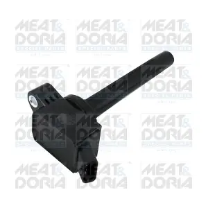 10881 MEAT & DORIA