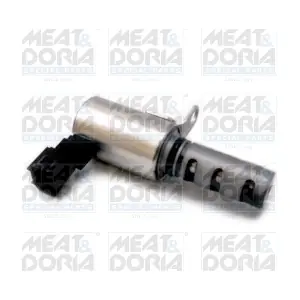 91541 MEAT & DORIA