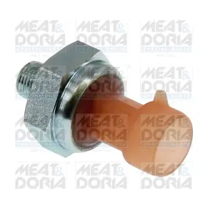 72178 MEAT & DORIA