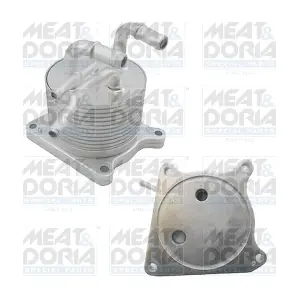 95239 MEAT & DORIA