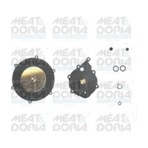 81141 MEAT & DORIA