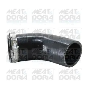 961029 MEAT & DORIA