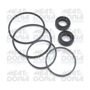 37004 MEAT & DORIA