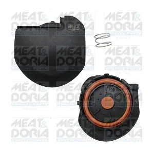 91669 MEAT & DORIA