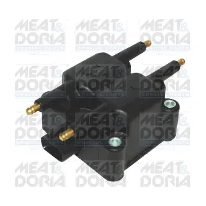 10741 MEAT & DORIA
