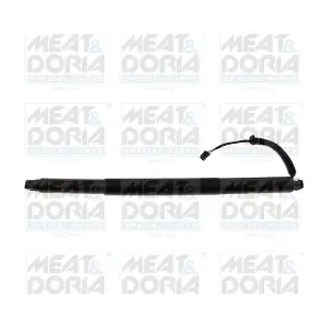 301118 MEAT & DORIA