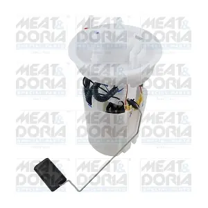 77868 MEAT & DORIA