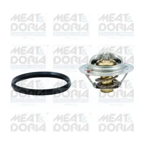 92631 MEAT & DORIA