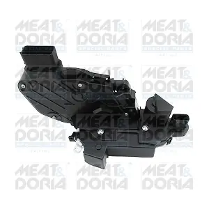 31395 MEAT & DORIA