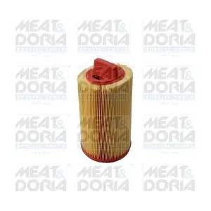 16076 MEAT & DORIA