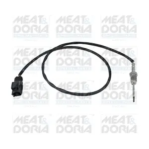 12031E MEAT & DORIA