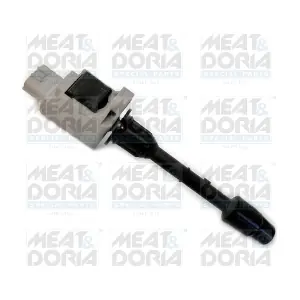 10727 MEAT & DORIA