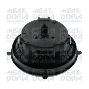38502 MEAT & DORIA