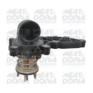 92850 MEAT & DORIA