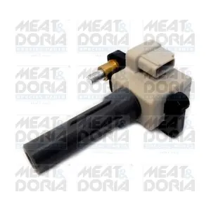 10775 MEAT & DORIA