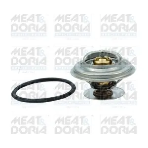 92753 MEAT & DORIA