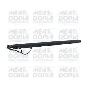 301093 MEAT & DORIA