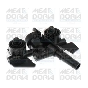 209038 MEAT & DORIA
