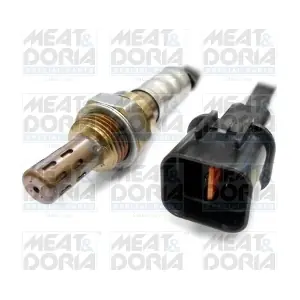 MEAT & DORIA 81779