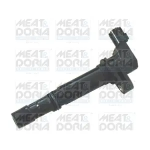 10568 MEAT & DORIA