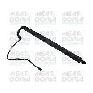 301036 MEAT & DORIA