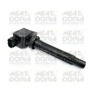 MEAT & DORIA 10629