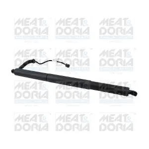 301089 MEAT & DORIA