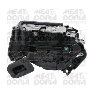 31589 MEAT & DORIA