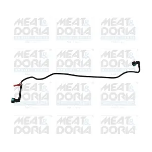 98066 MEAT & DORIA