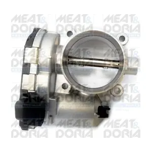 89253 MEAT & DORIA