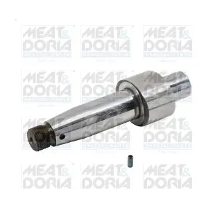 98259 MEAT & DORIA