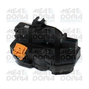 311003 MEAT & DORIA