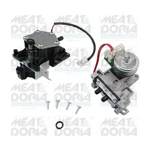 73025 MEAT & DORIA