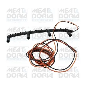 25524 MEAT & DORIA