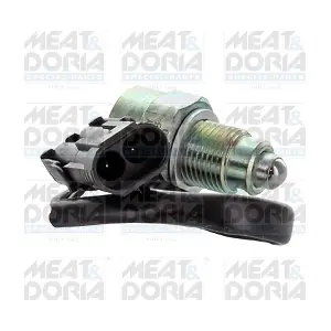 36101 MEAT & DORIA